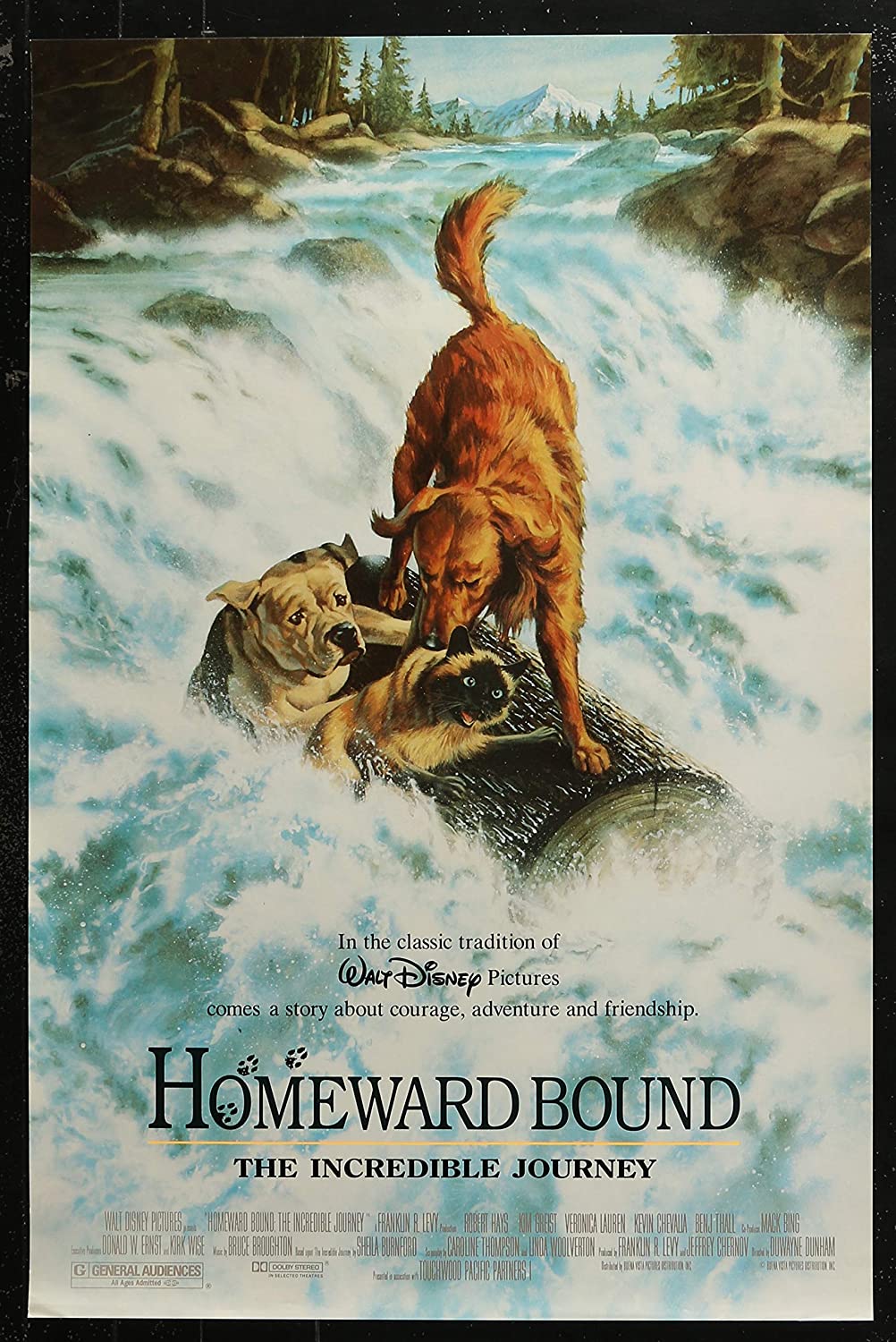 Disney Dust: Disney Documentaries