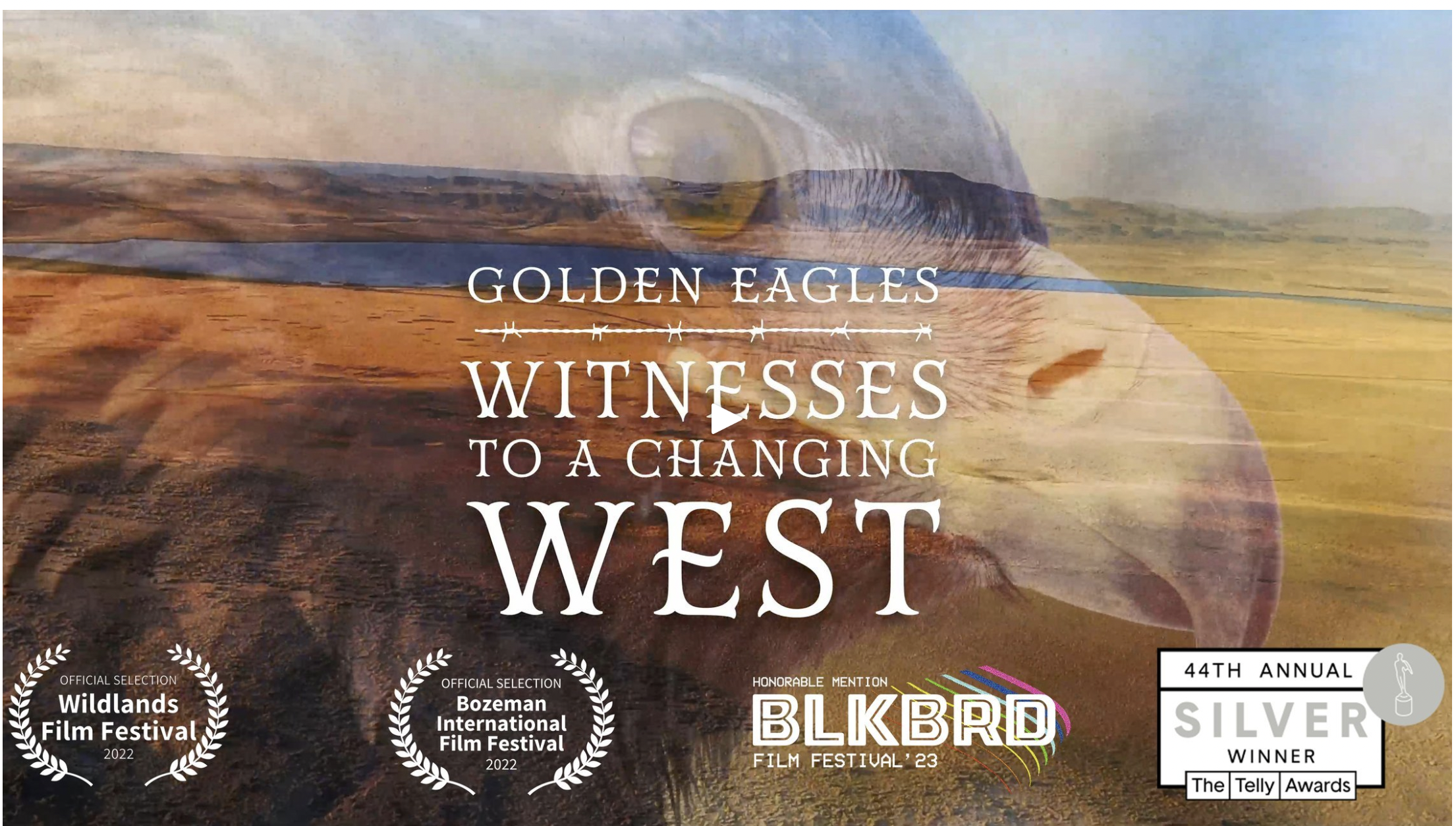 cover of episode Golden Eagles in the Changing American West with filmmaker David Rohm