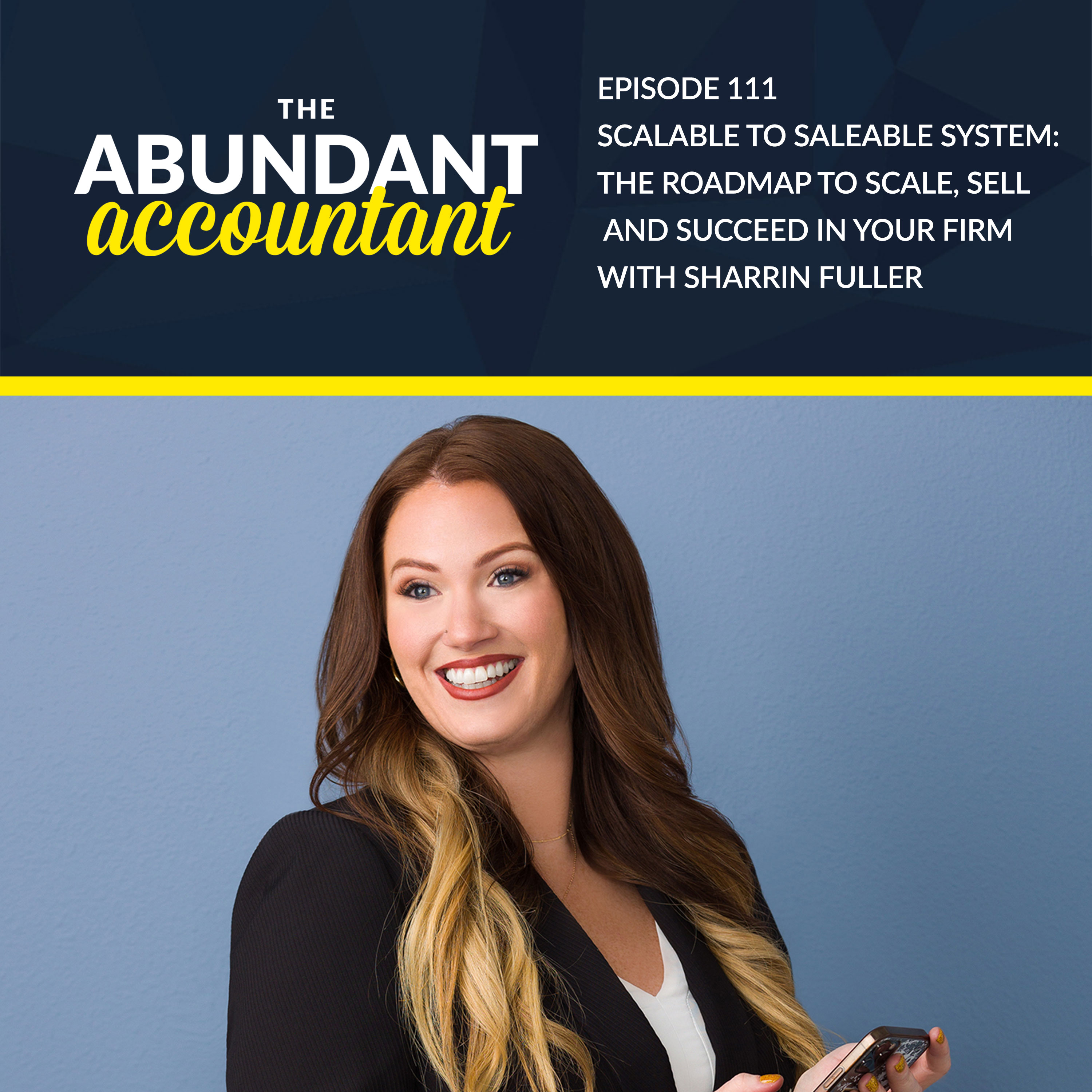 The Abundant Accountant: Leads, Sales & Business Growth for Accounting, Tax and Bookkeeping Professionals