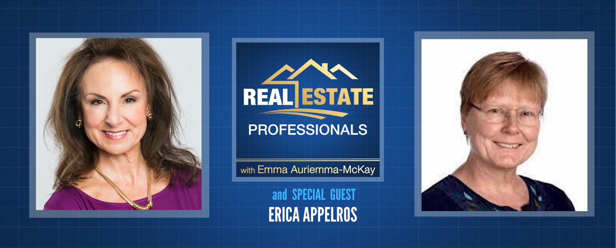 Real Estate Professionals - Property Sales Tactics for Realtors