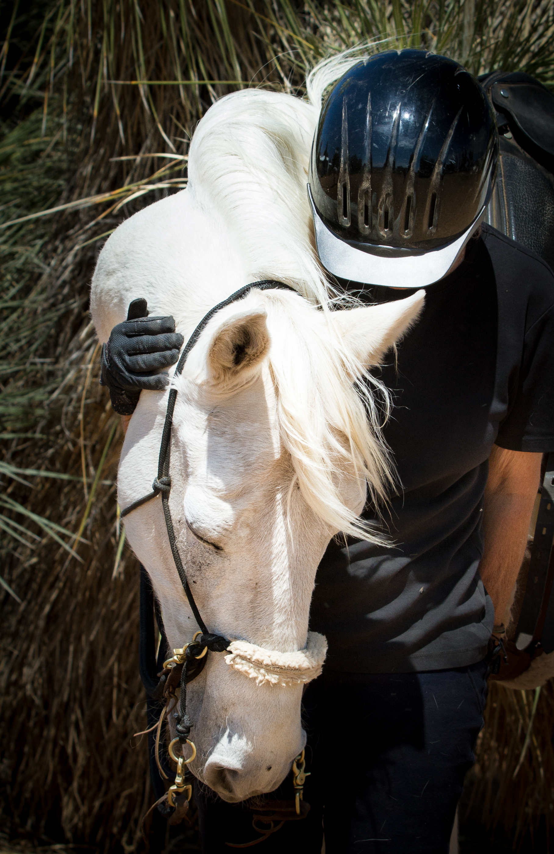 0846: Katharine Chrisley-Schreiber 9 - How Horses Feel Safe Explained in Detail by Katharine Chrisley-Schreiber