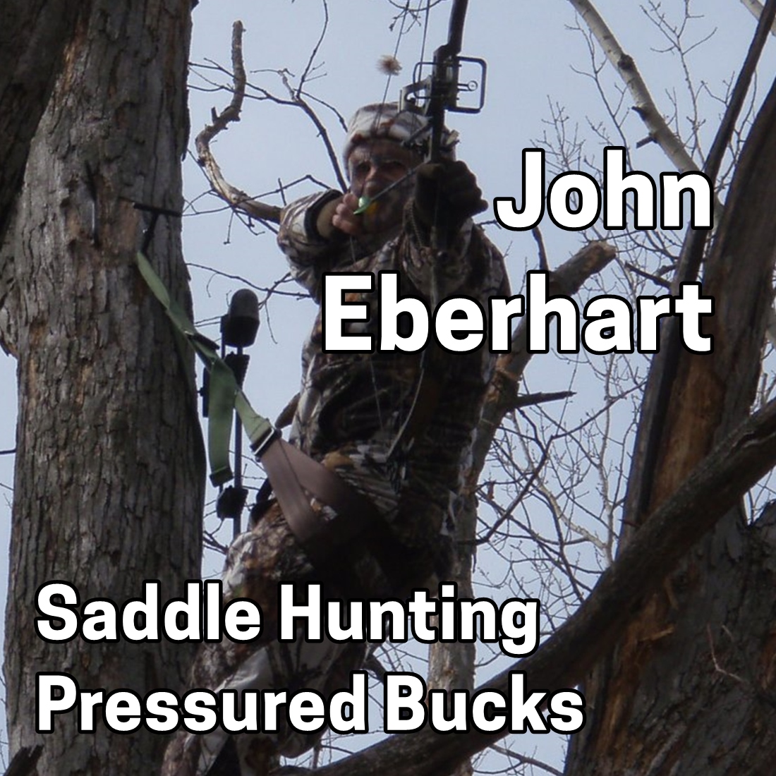 Deer Hunt by Big Buck Registry