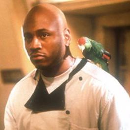 #71 - Deep Blue Sea (1999)