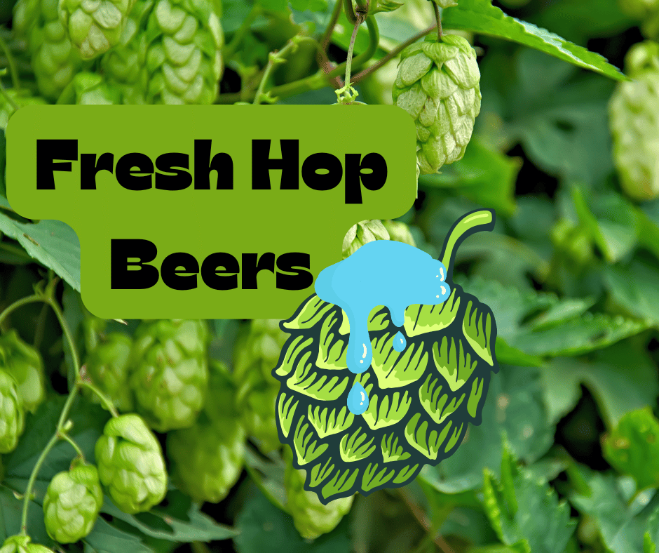 Wet Hopping - The Freshest Way to Hop Your Beer