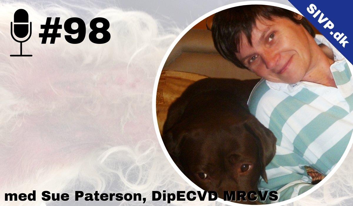 Succes I Veterinær Praksis Podcast - Sammen om at blive bedre