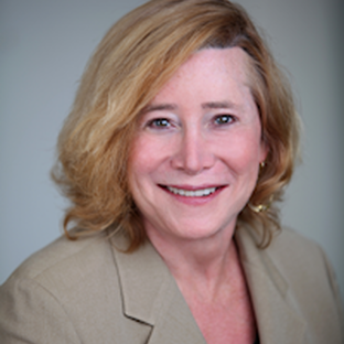 Dana Beyer - D18 State Senate Candidate - Maryland