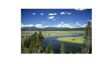 Is Yellowstone Dying