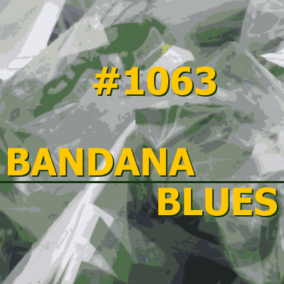 Bandana Blues, founded by Beardo, hosted by Spinner