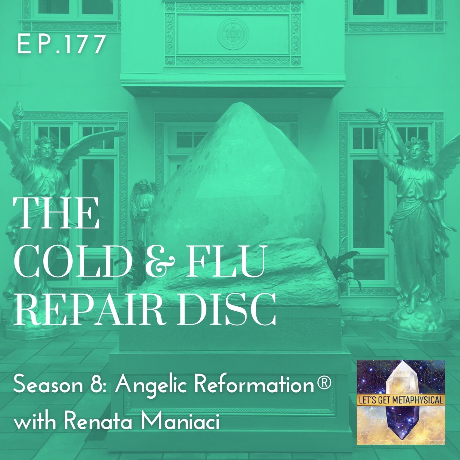 The Cold & Flu Repair Disc