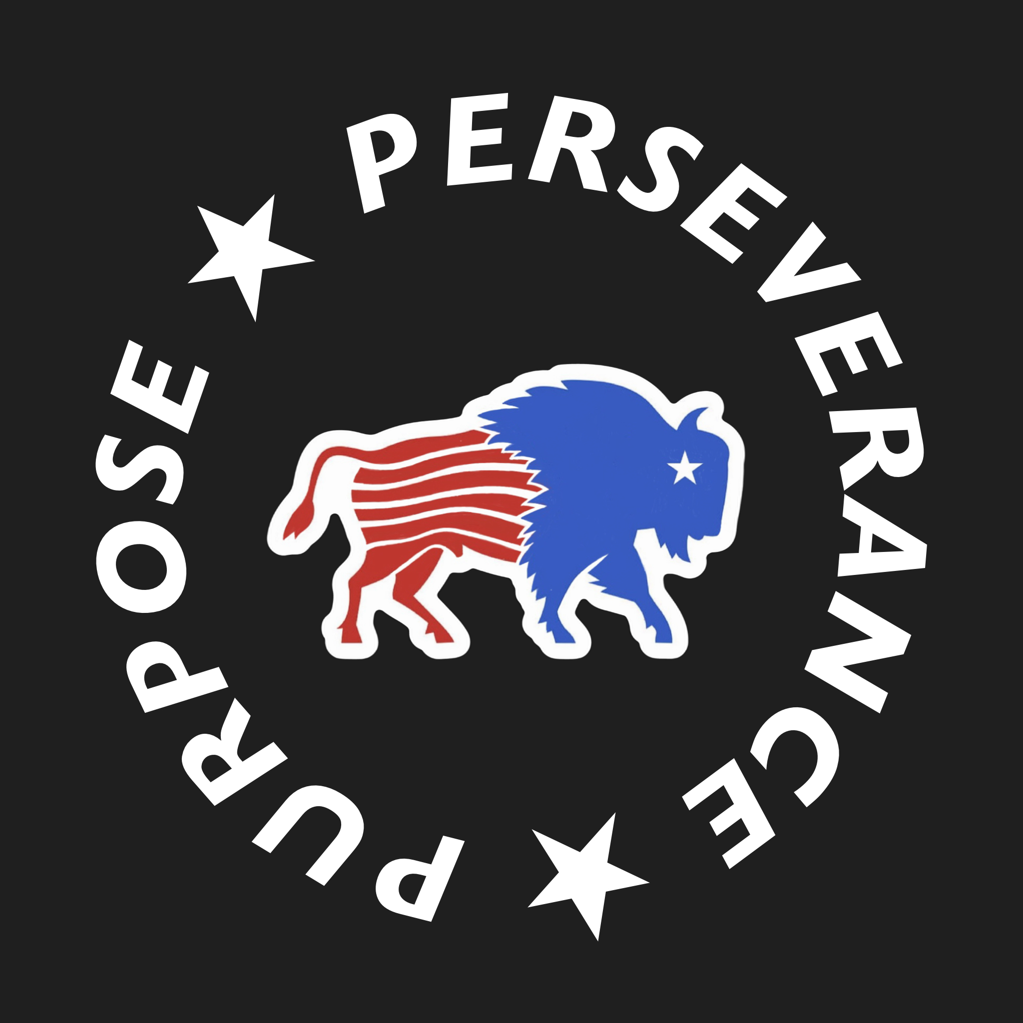 Purpose and Perseverance Podcast
