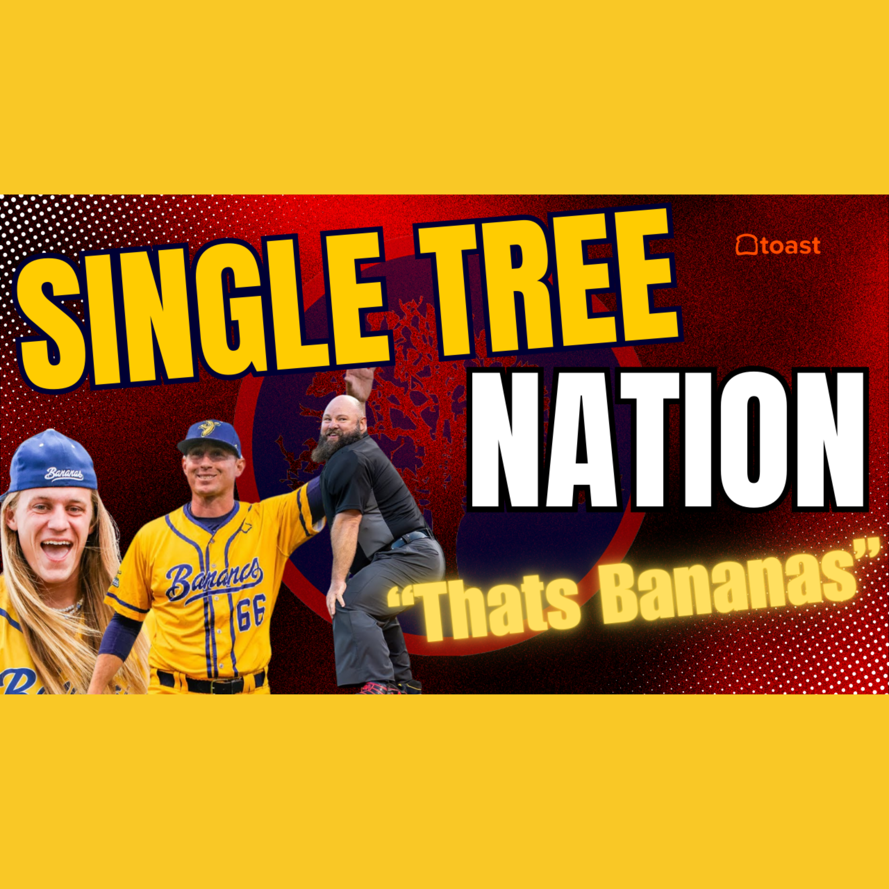 🎙️ Single Tree Nation at Nissan Stadium with the Savannah Bananas! 🍌⚾