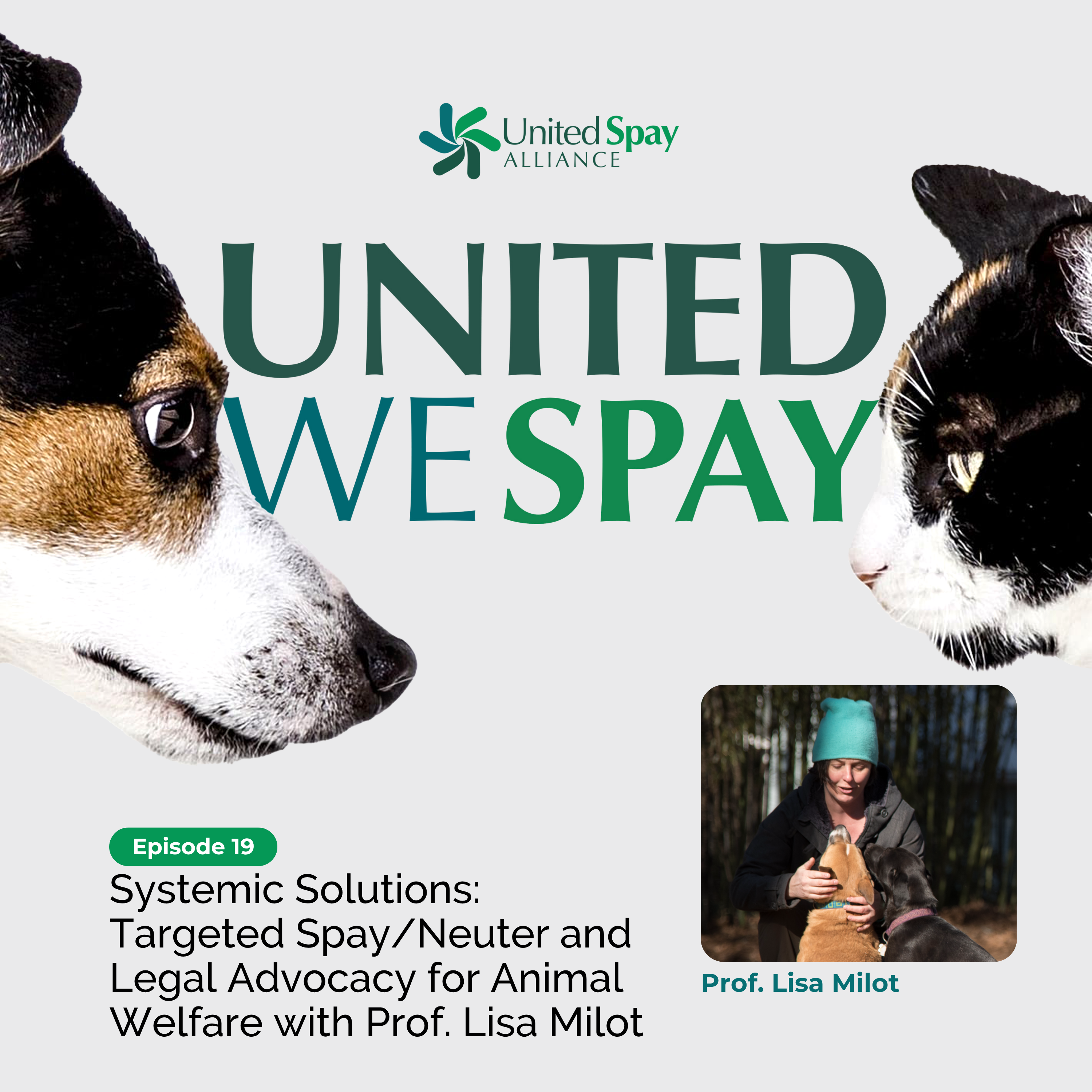 United We Spay