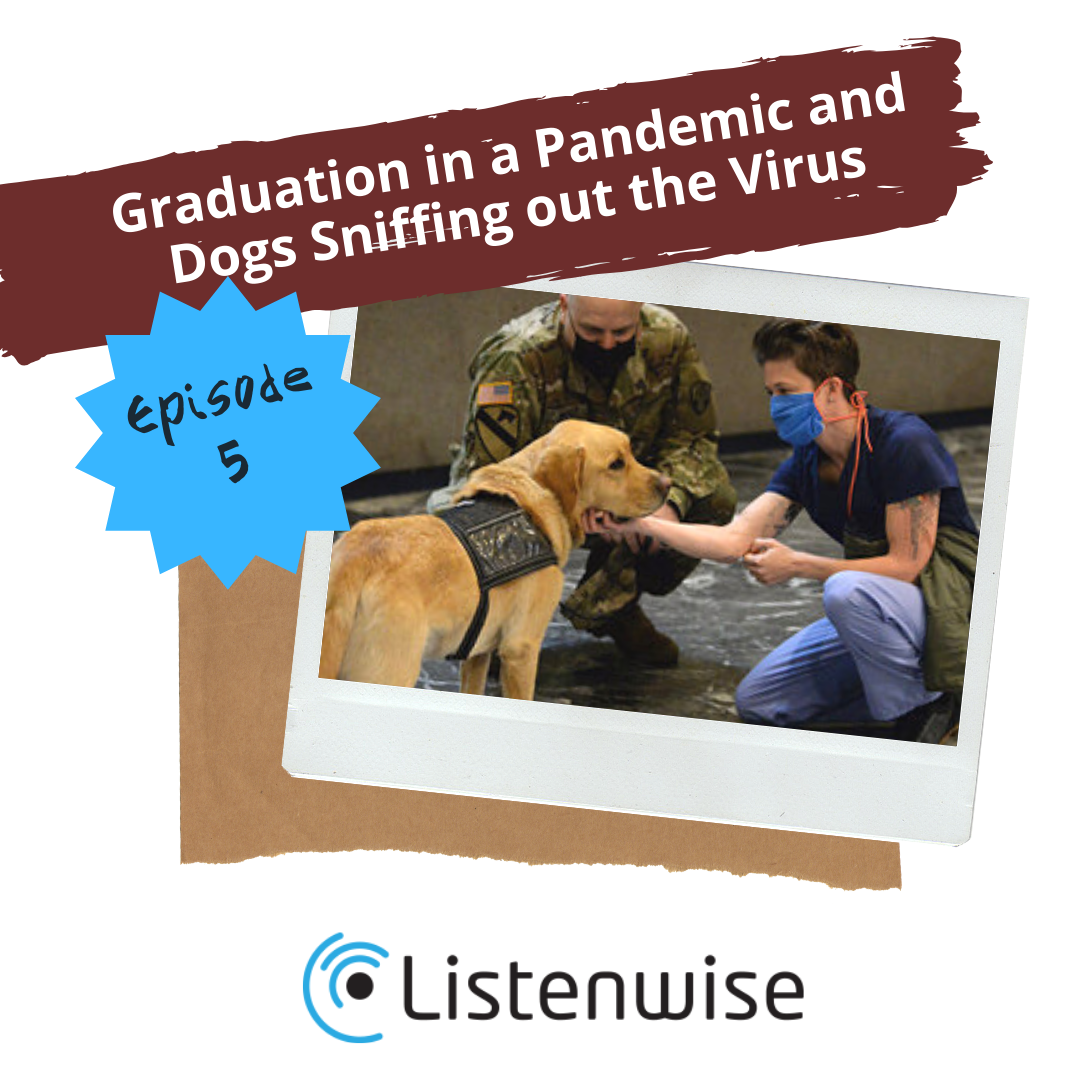 Listenwise News Bites