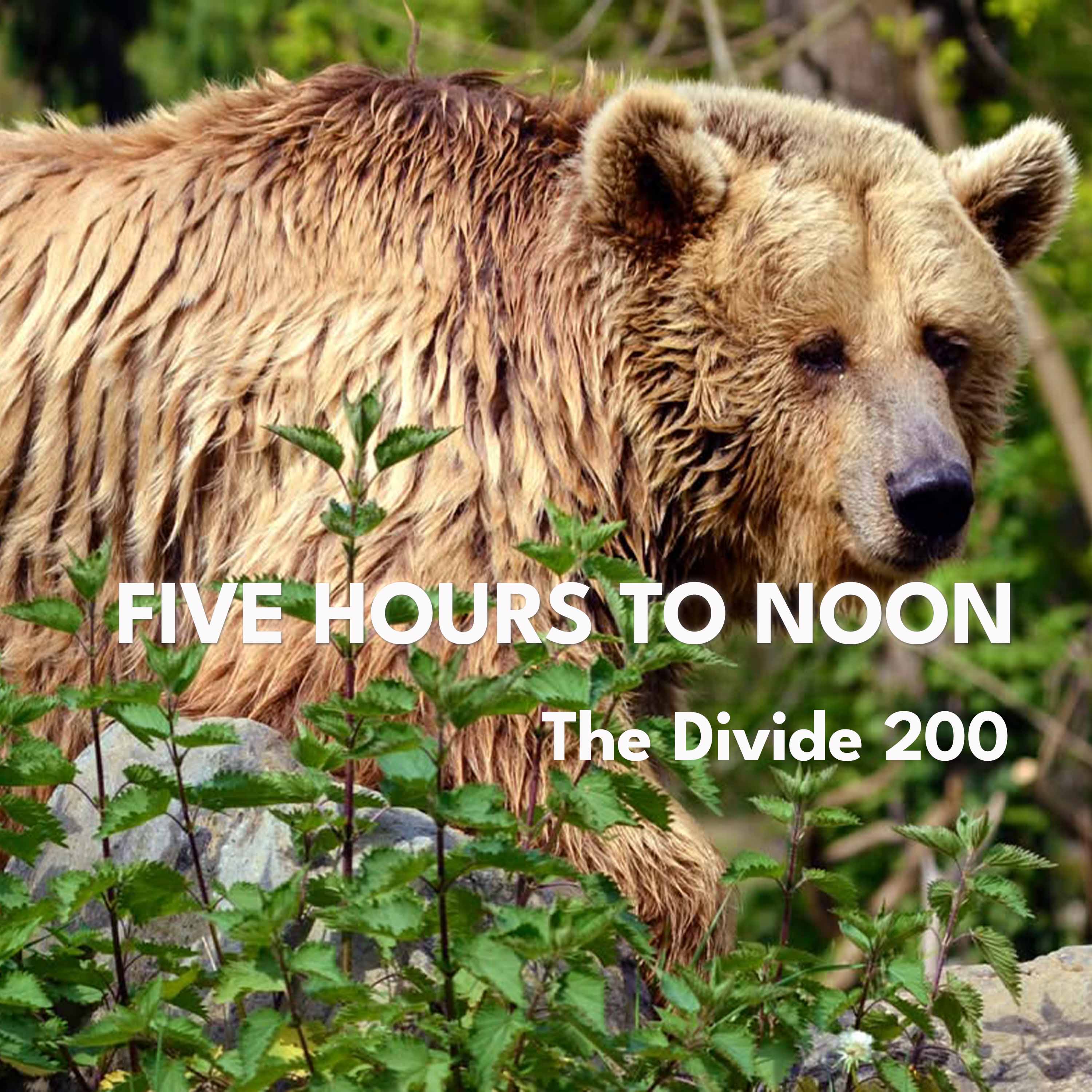 Five Hours to Noon