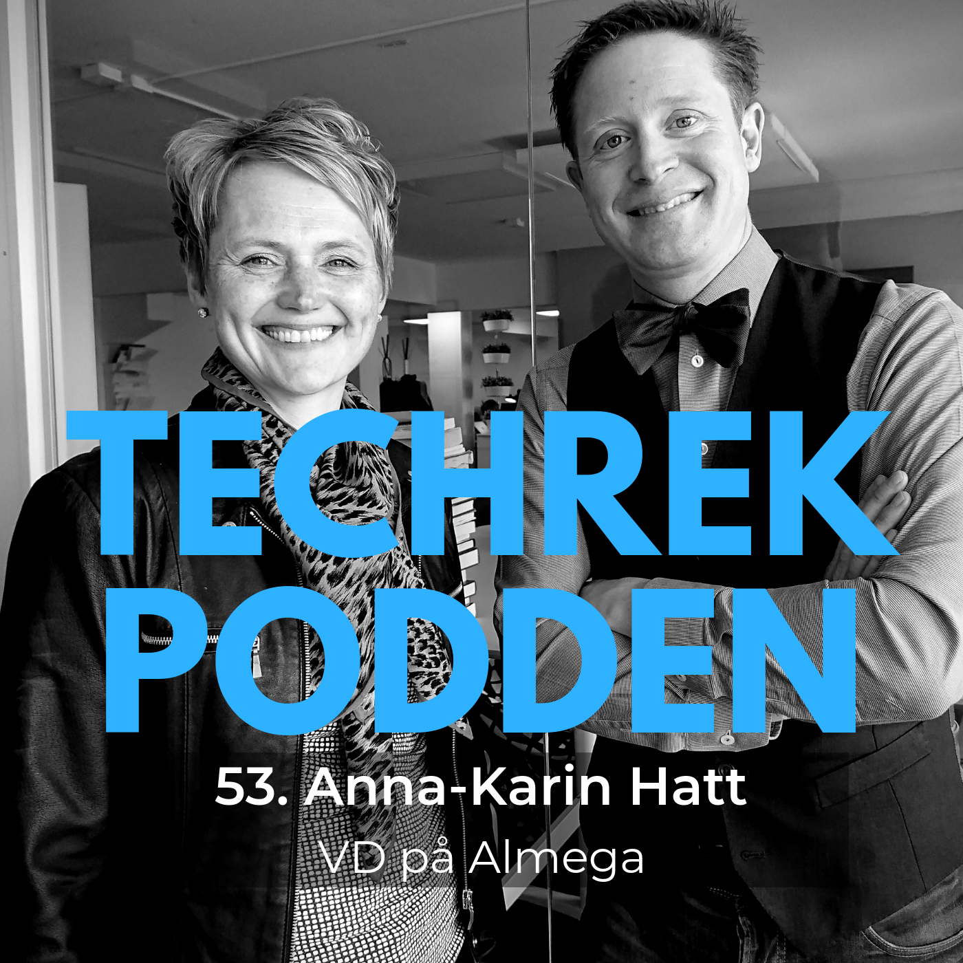 53. Anna-Karin Hatt, VD Almega