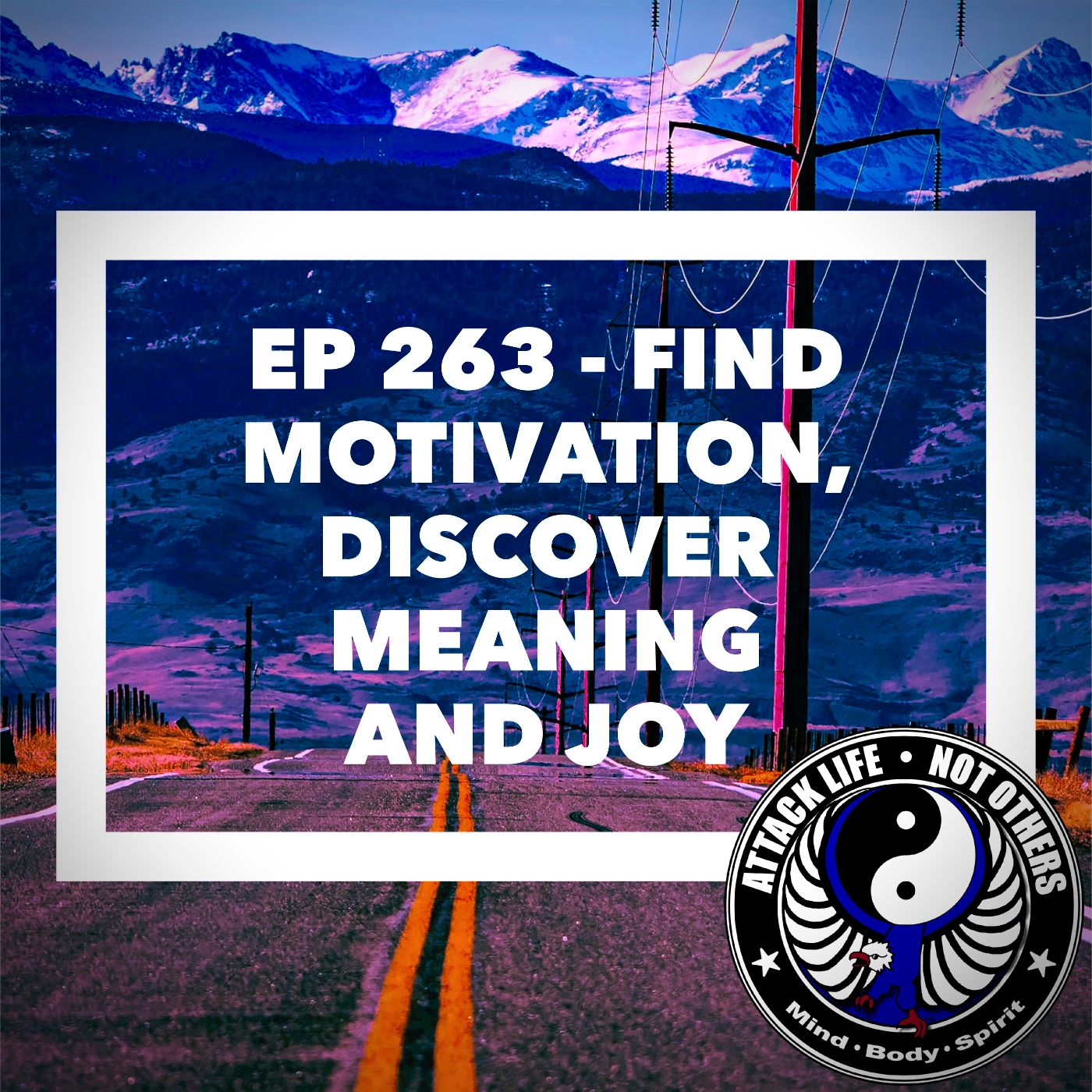 Ep 263 - Find Motivation, Discover Meaning and Joy