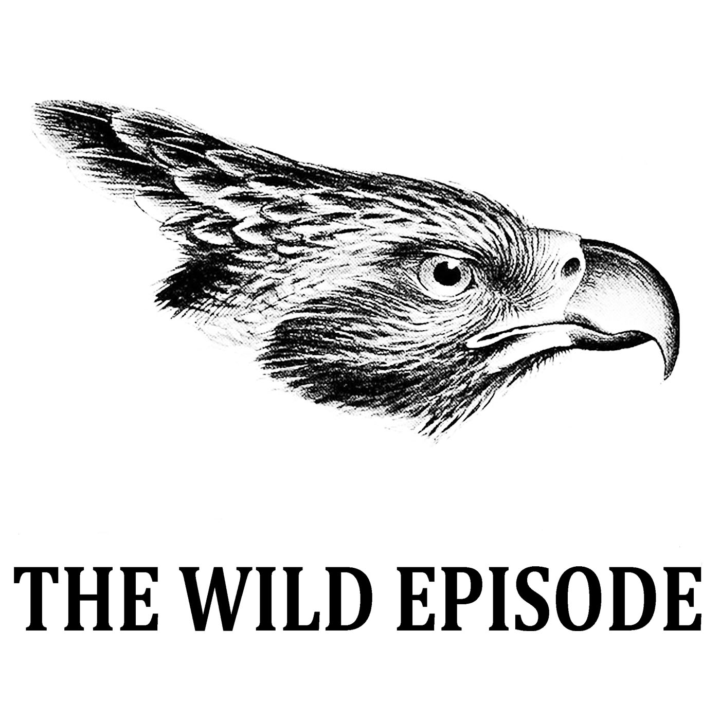 The Wild Episode