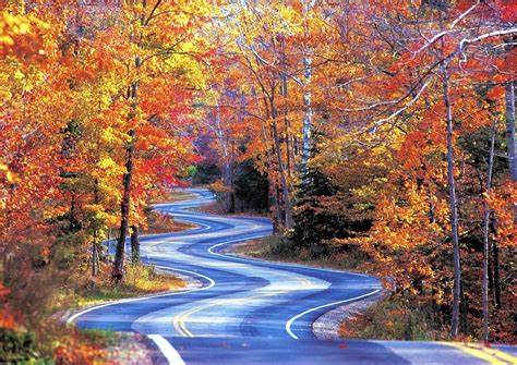 Relax and enjoy the colors!