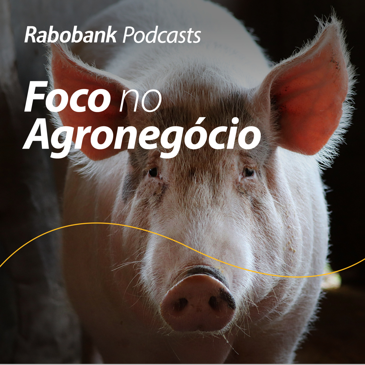 Foco no Agronegócio - Pesquisa Setorial