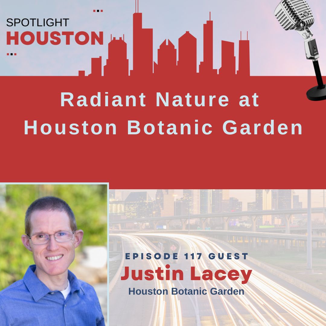 Spotlight Houston