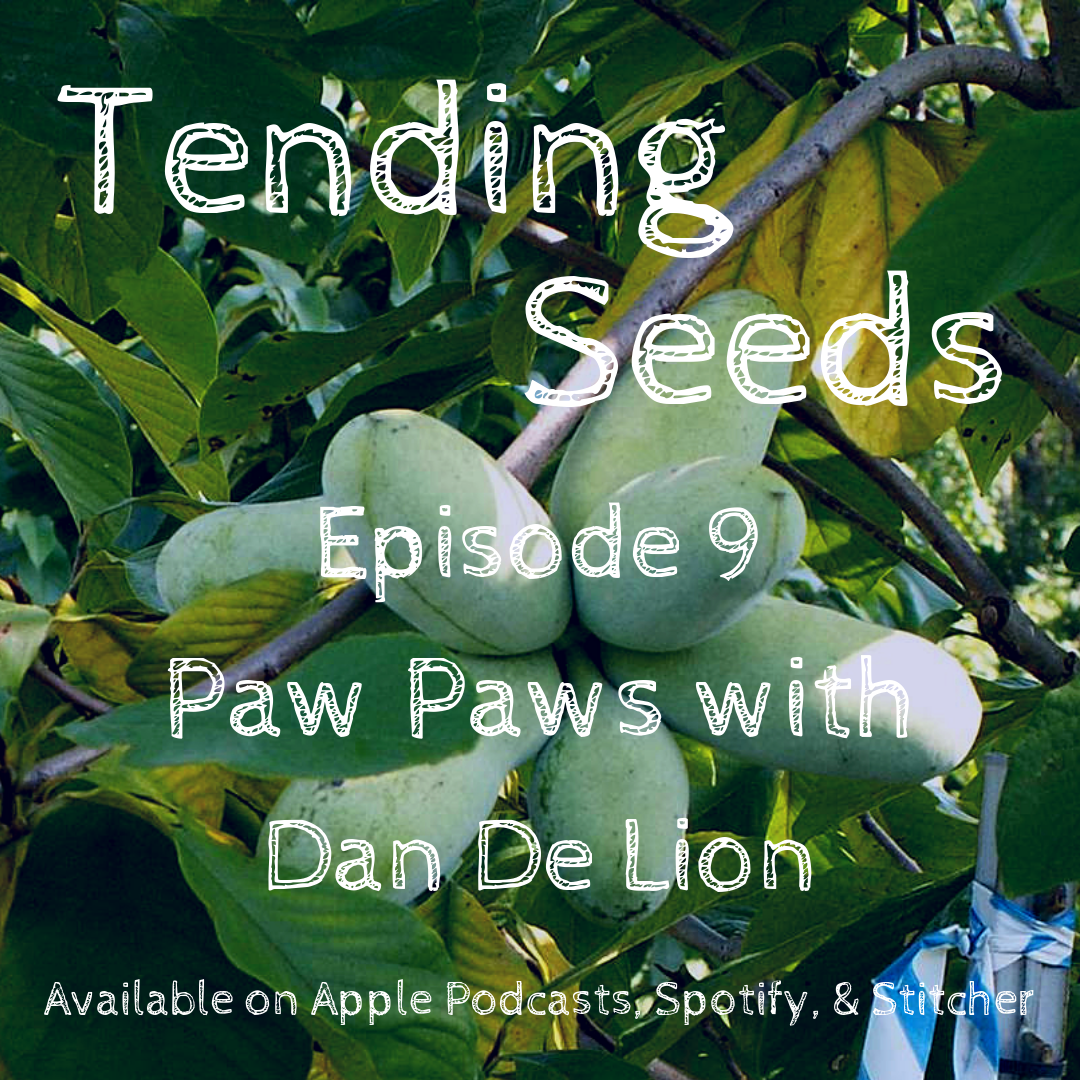 Tending Seeds: Adventures in Gardening, Homesteading, and Herbalism