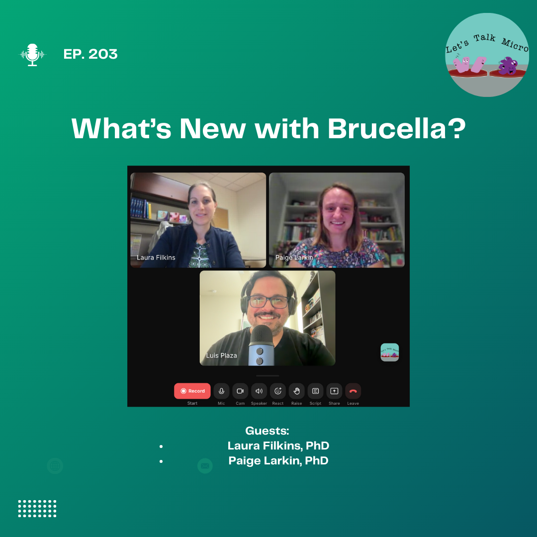203: What’s New with Brucella?