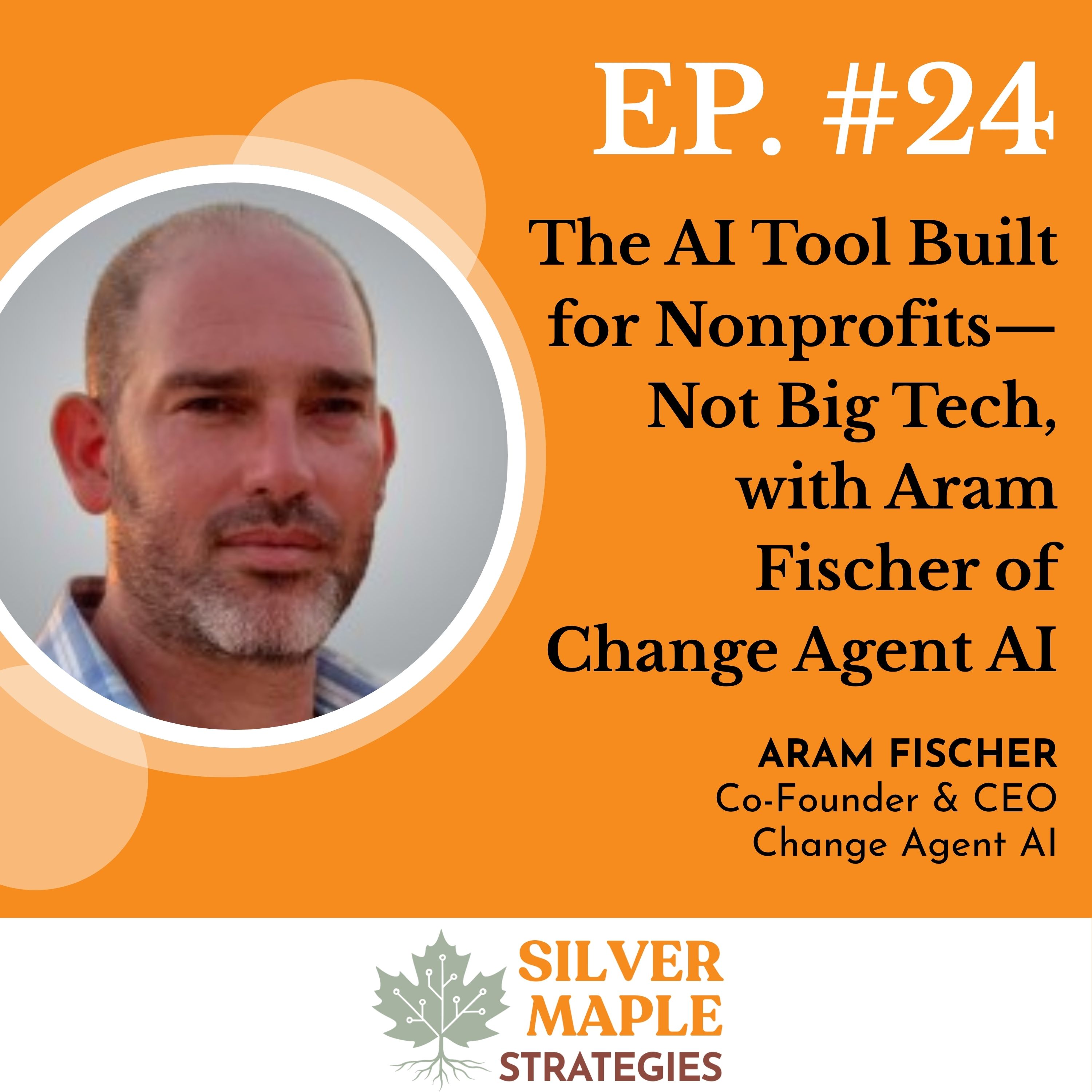 Secrets of Social Impact Communicators: A Silver Maple Strategies Podcast with Nate Birt