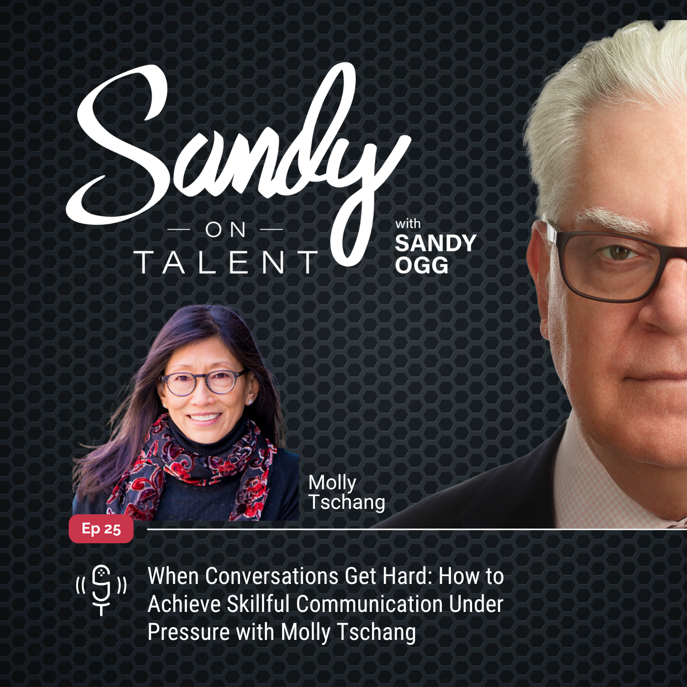 Sandy on Talent - Insights and Strategies for Leadership Excellence and Talent Optimization