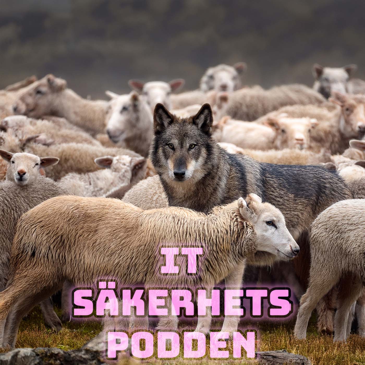 #306 - När hotet kommer inifrån