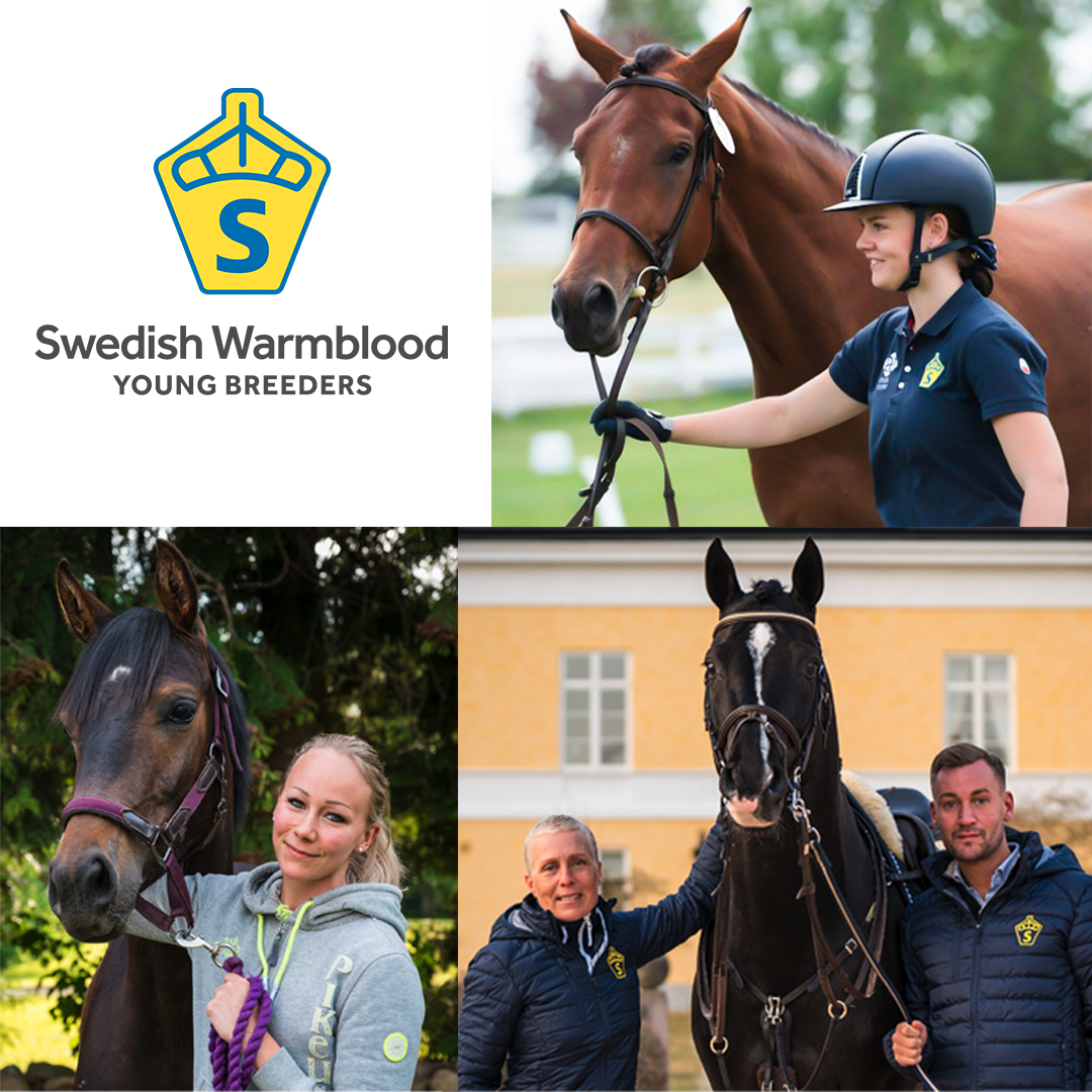 SWB Podden