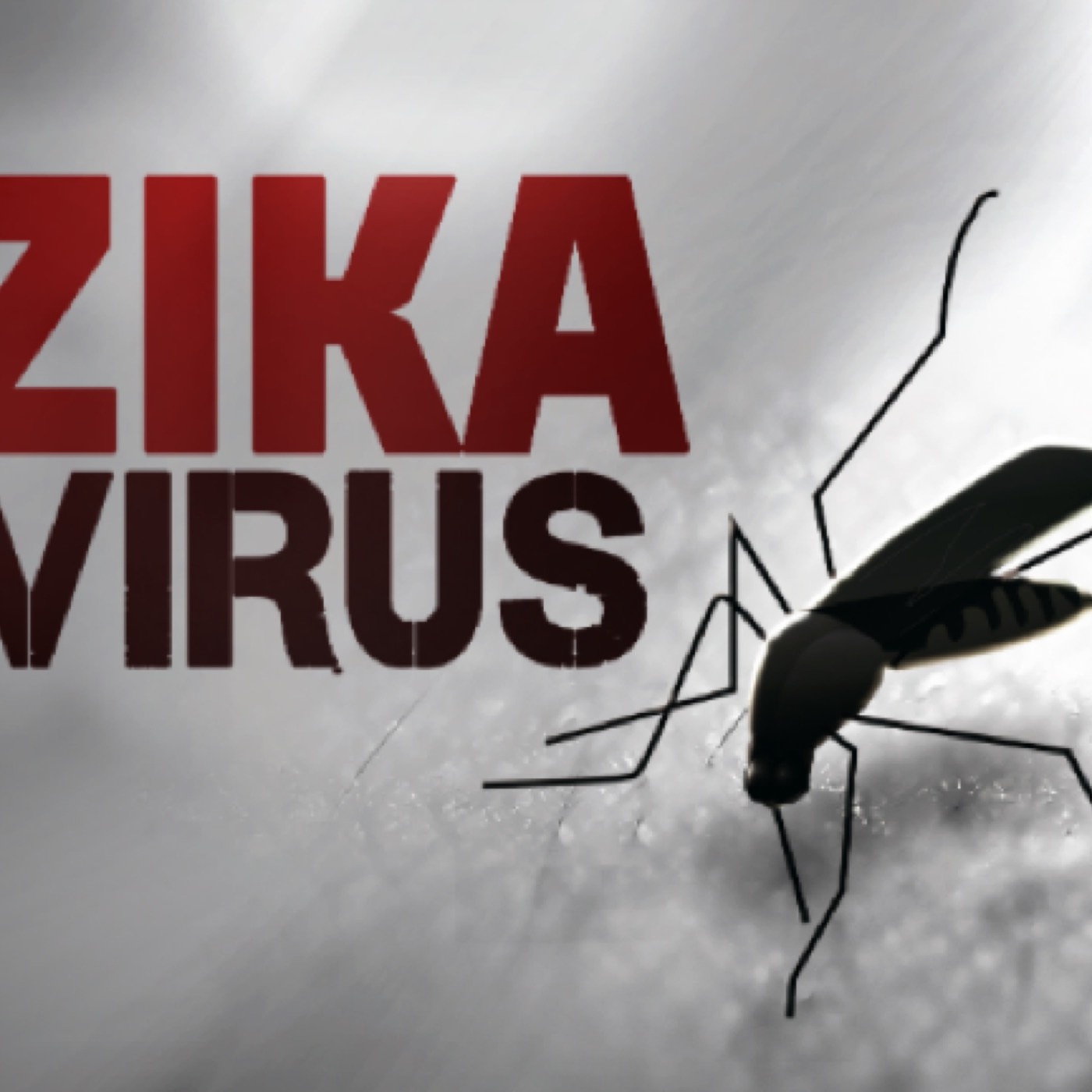 An Update on Zika