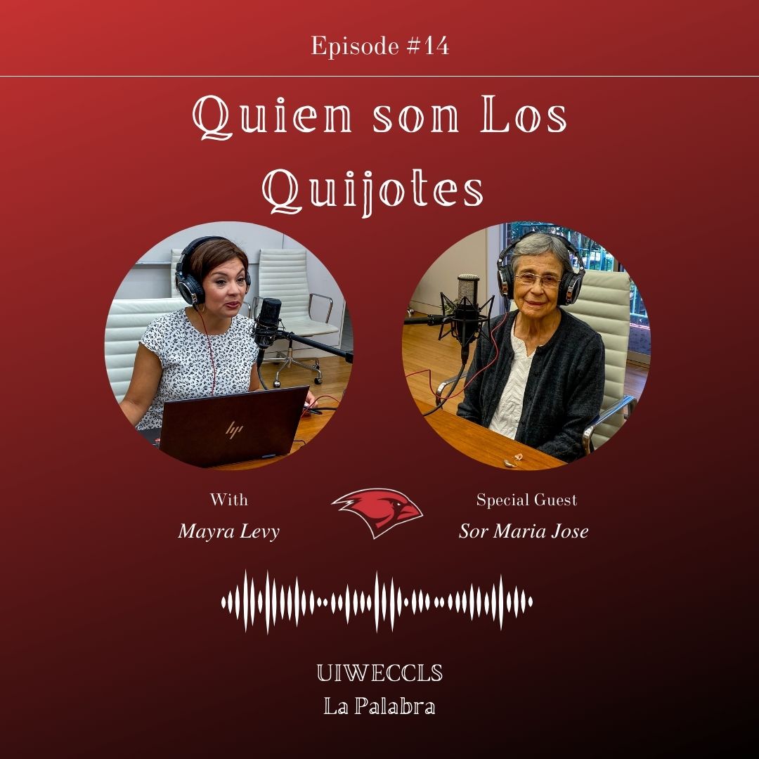 Quien son Los Quijotes Quien son Los Quijotes