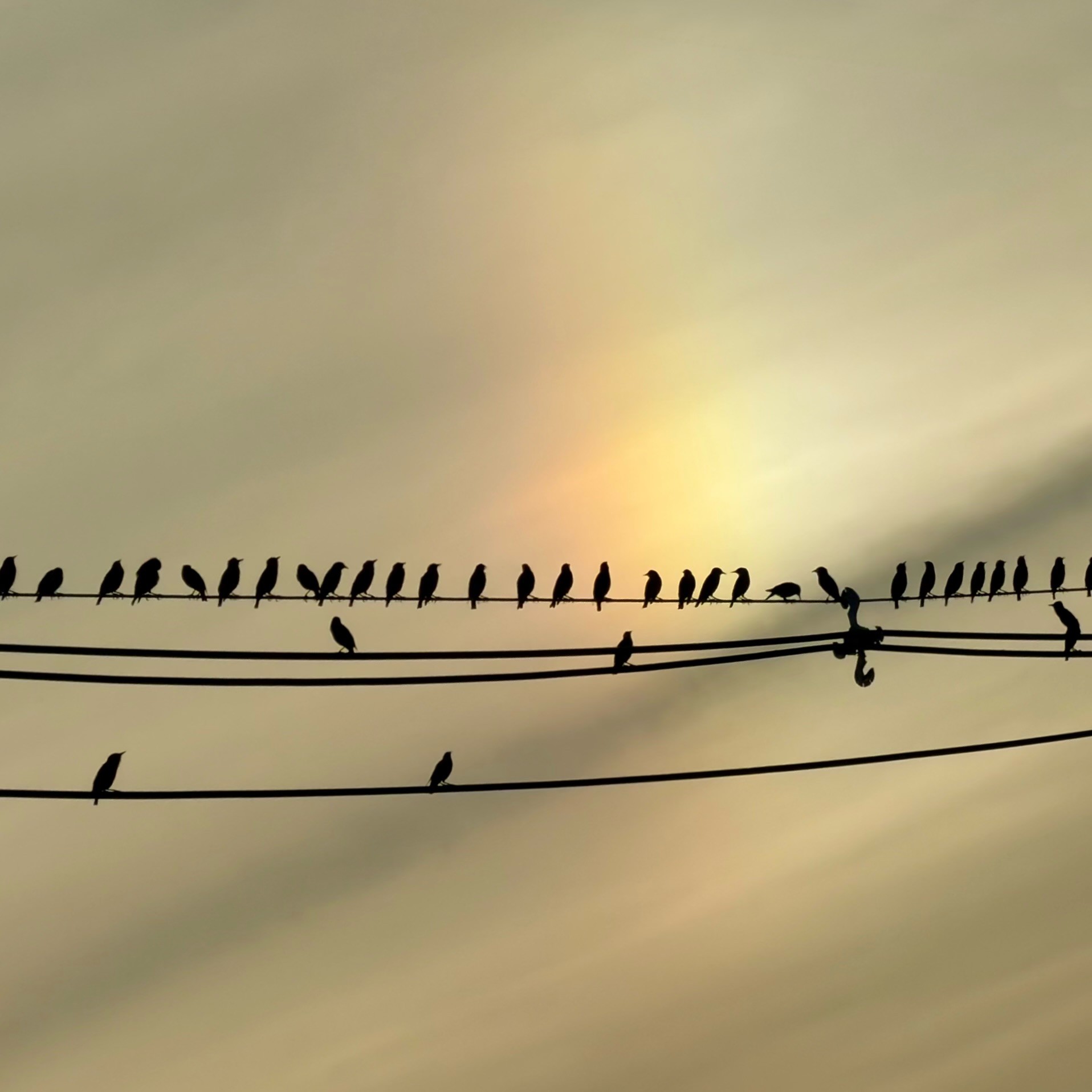 Hanging With Your Peeps