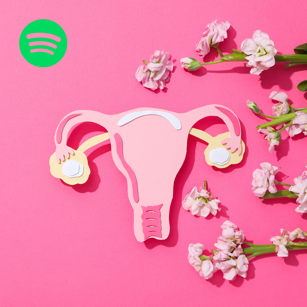 Wunschbaby Podcast