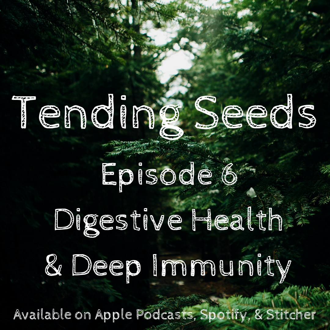 Tending Seeds: Adventures in Gardening, Homesteading, and Herbalism