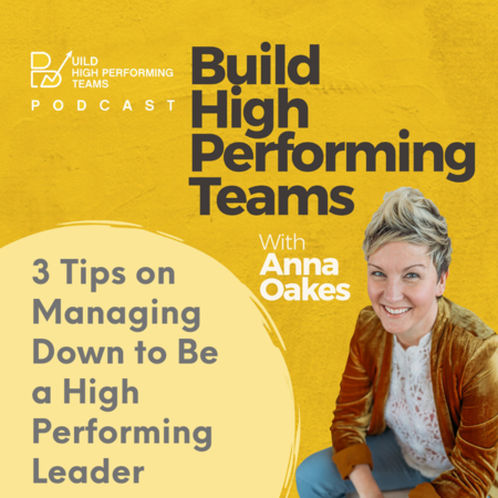 Build High Performing Teams Podcast