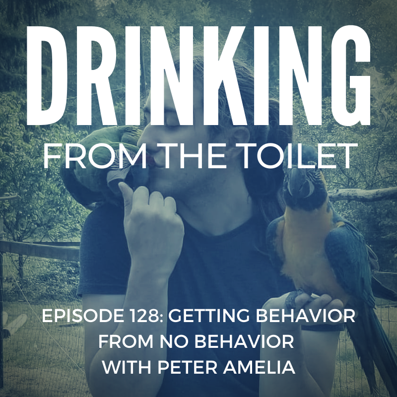 Drinking From the Toilet: Real dogs, Real training
