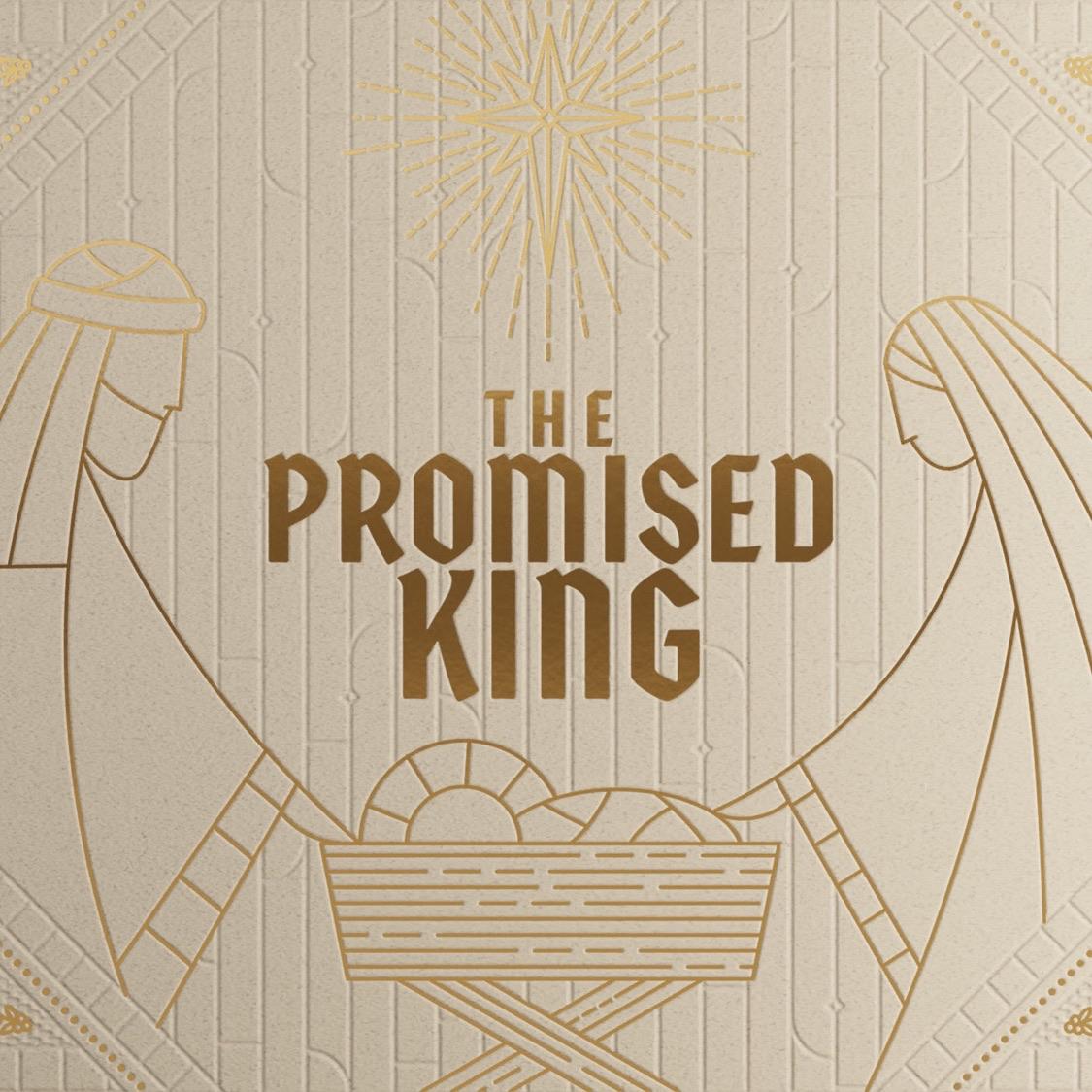 The Promised King The Promised King