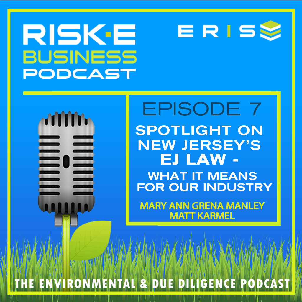 RISK-E-Business Podcast