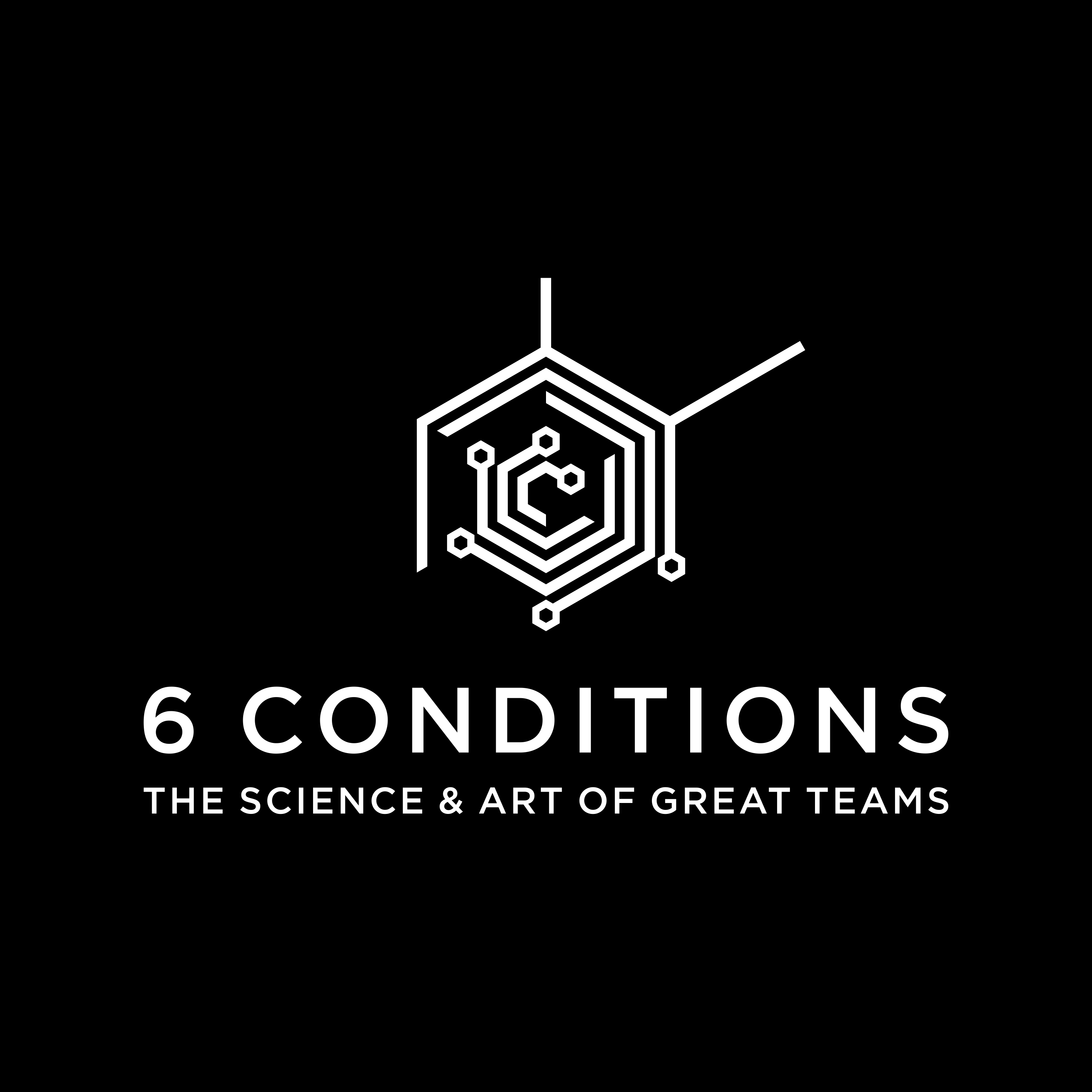 6 Conditions | The Science & Art of Great Teams