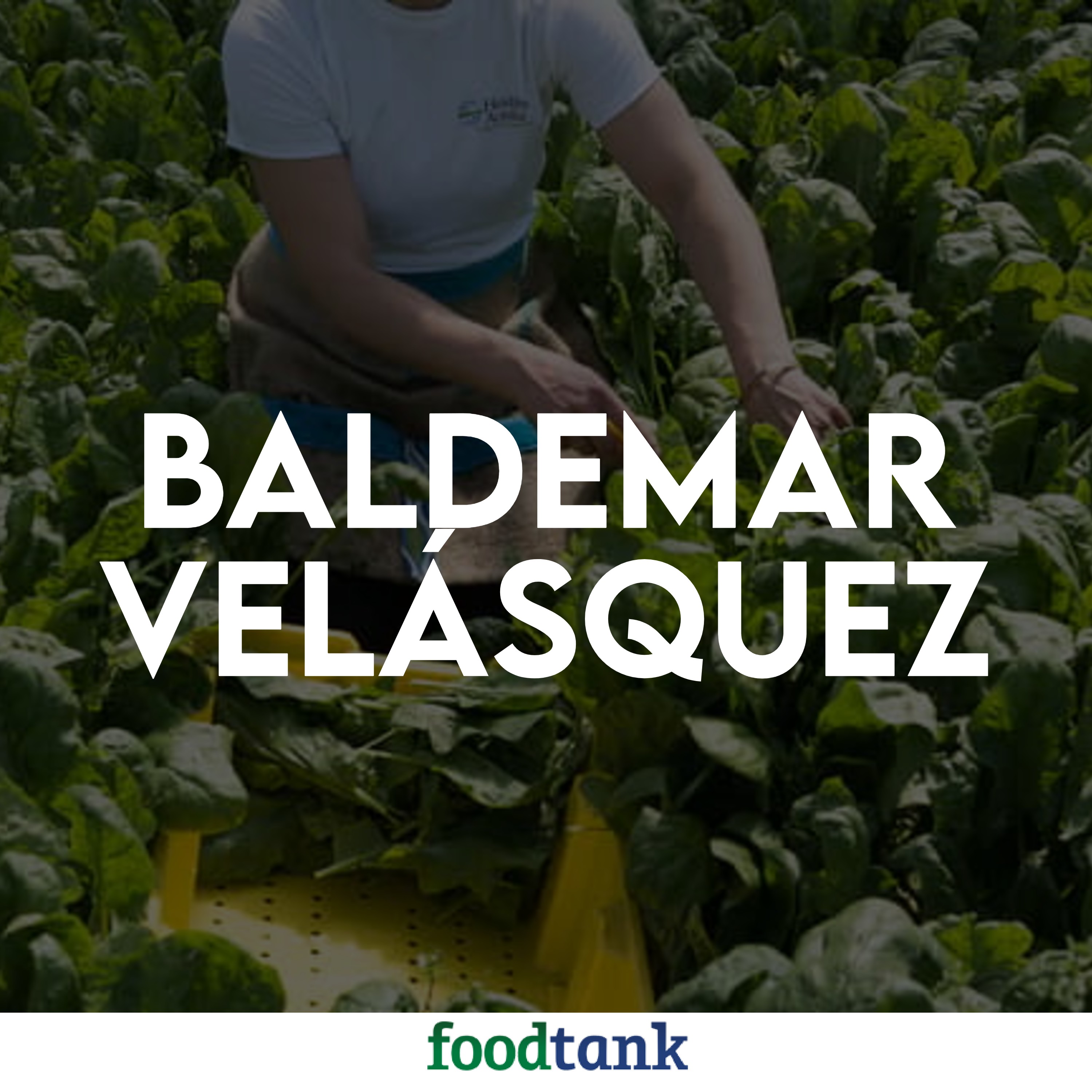 171. Baldemar Velasquez on Amplifying the Voices of Migrant Farmworkers