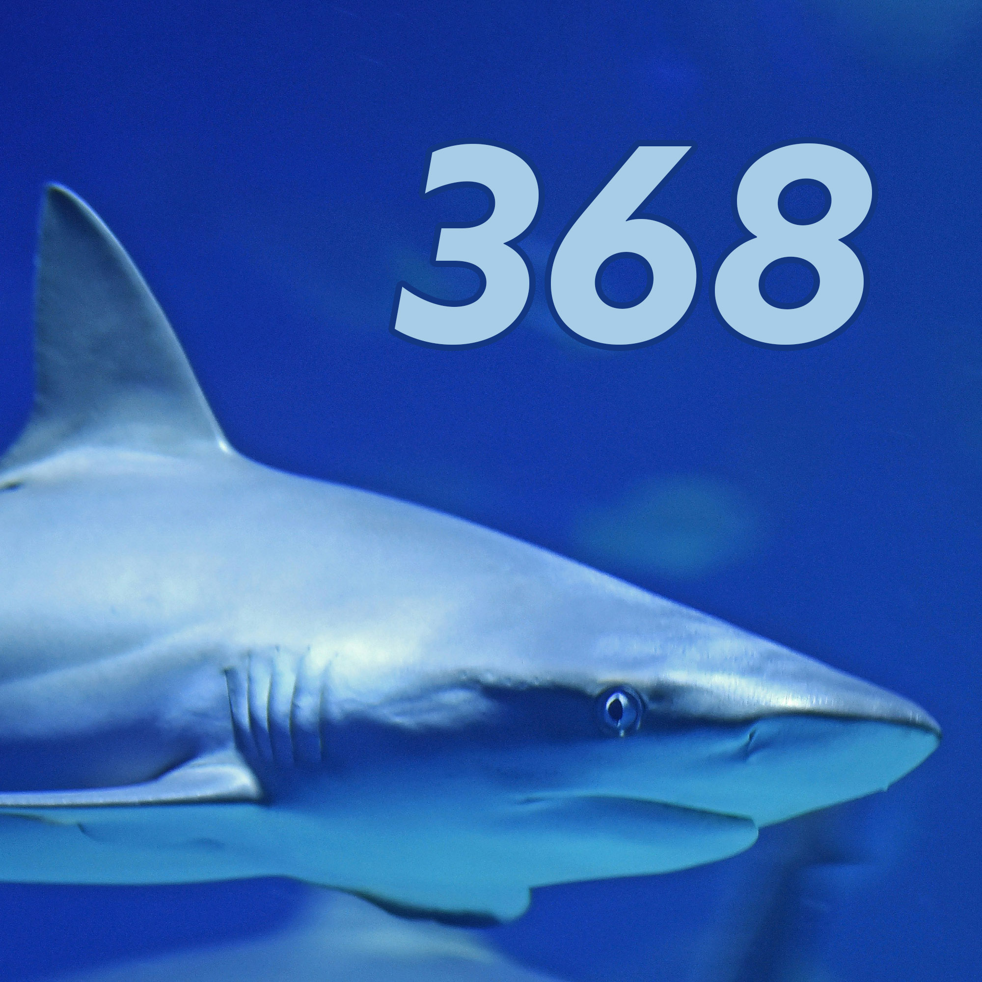#368: Shark Tank Edition
