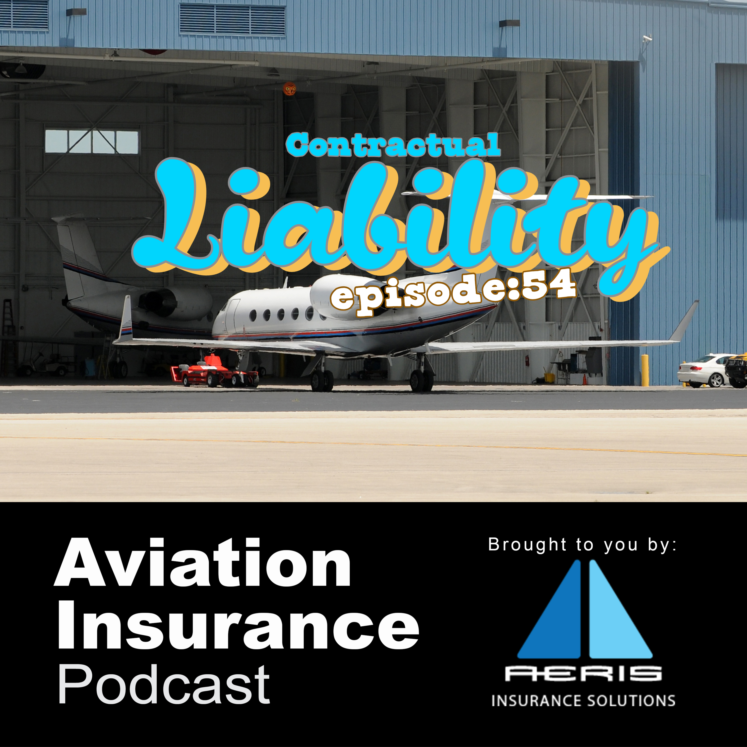 Episode 54: Contractual Liability