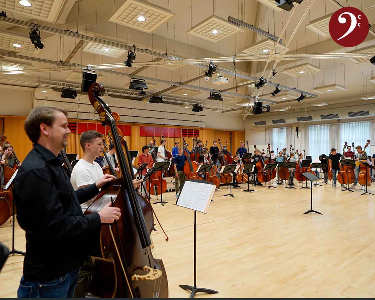 914: The German double bass scene