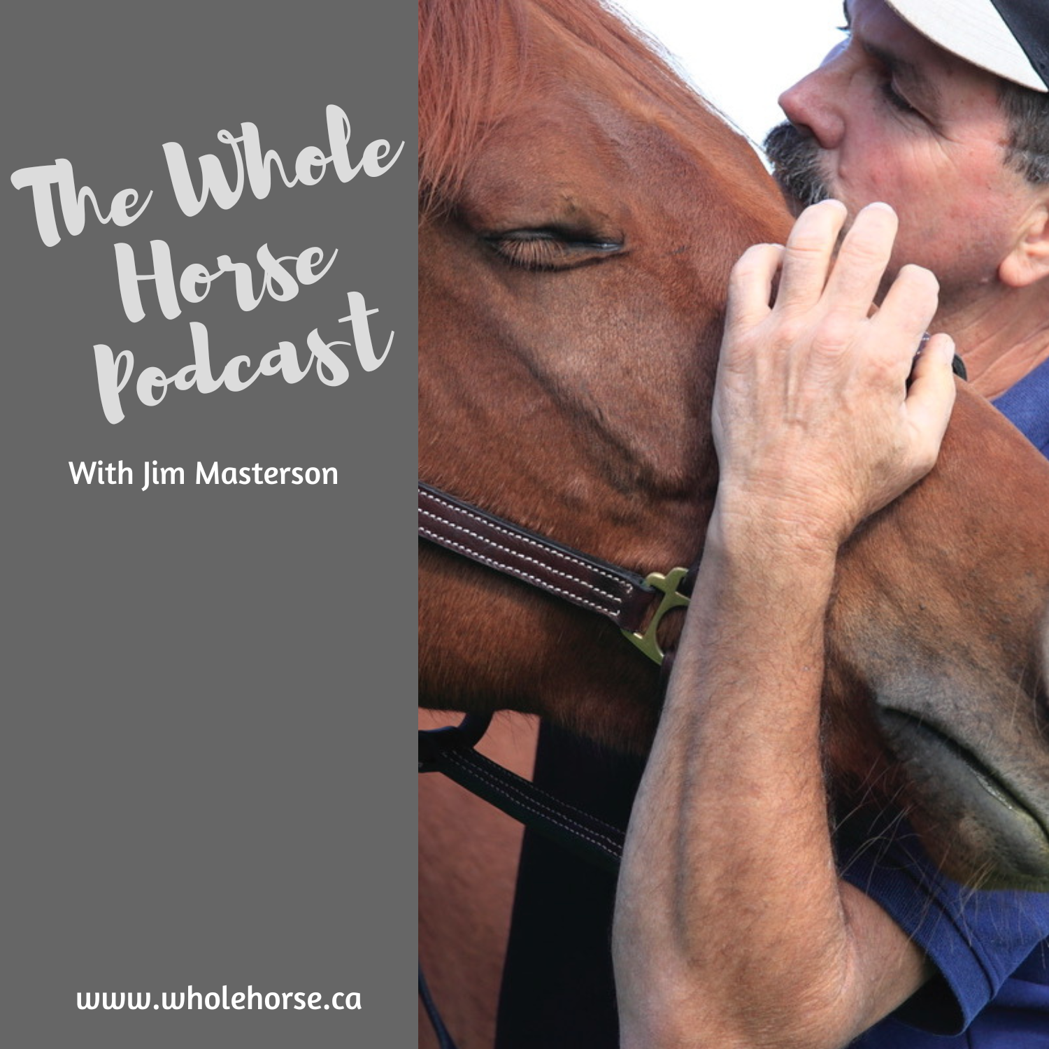 The Whole Horse Podcast with Alexa Linton