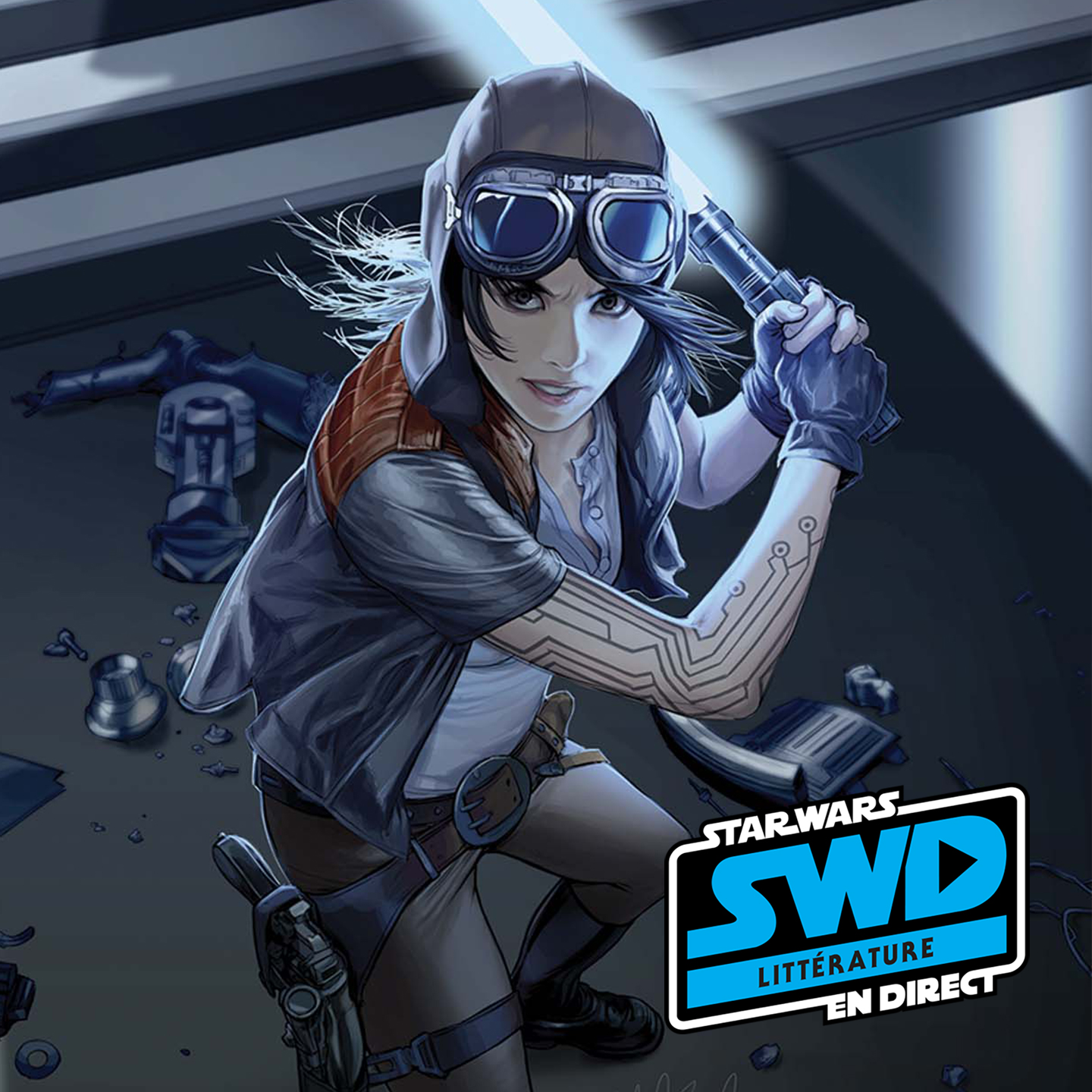 SWD Littérature - Amplitude thermique