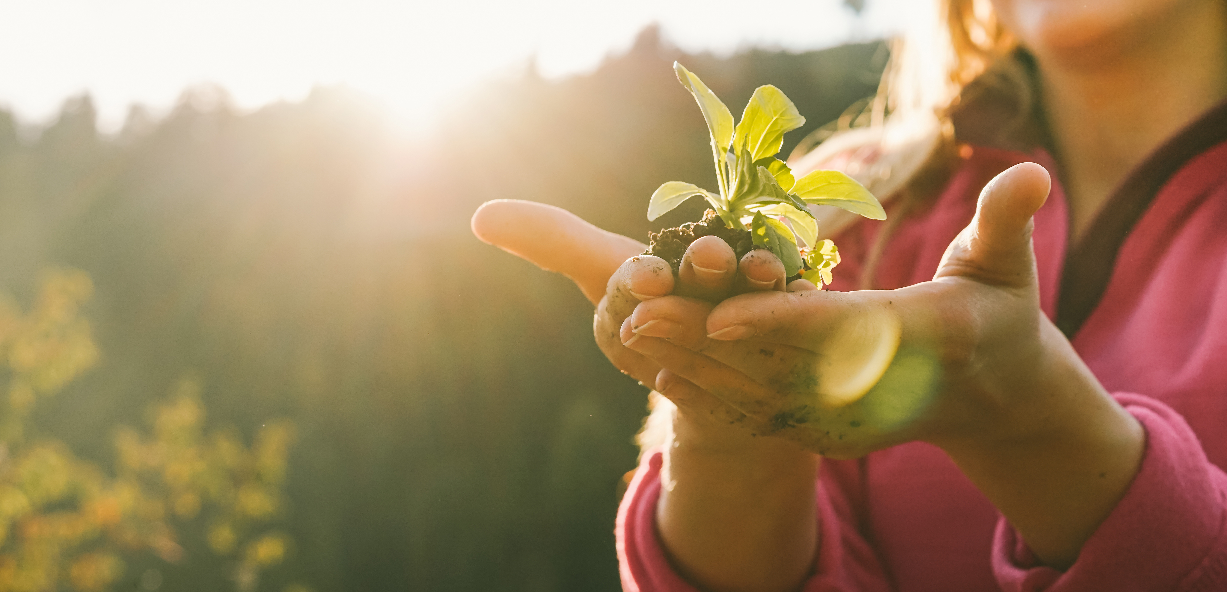 Audio Article: Saving Our Seeds, Saving Ourselves