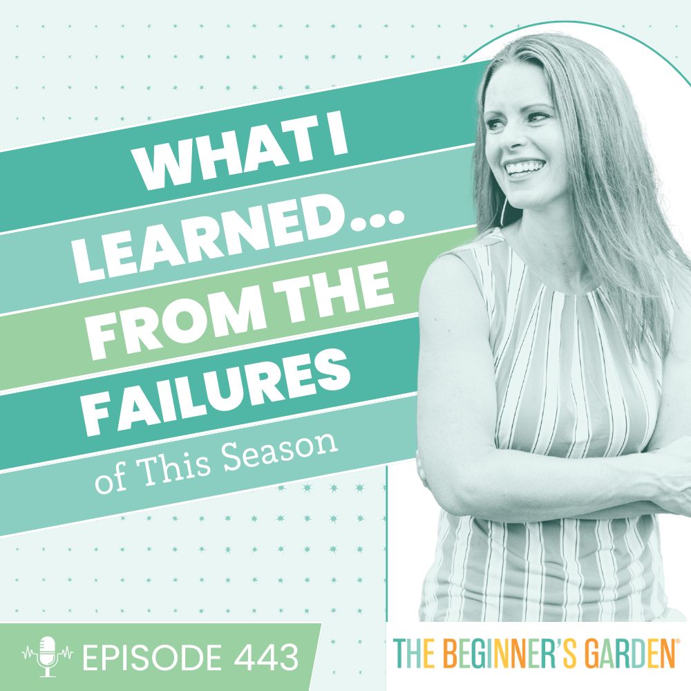 443 - What I learned... from the failures of this season