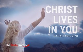 The Daily Promise
