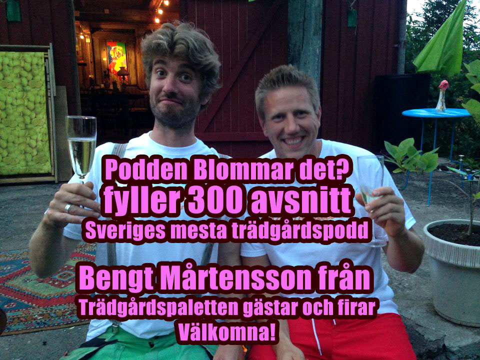 Blommar det? en pod om trädgård